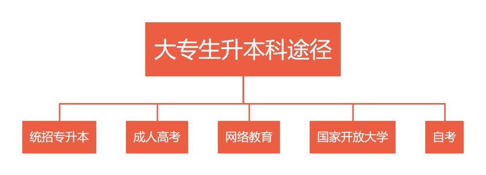 大专生想提升学历有哪些途径升本科